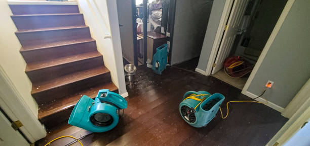 Best Fire Damage Restoration  in Tuolumne City, CA