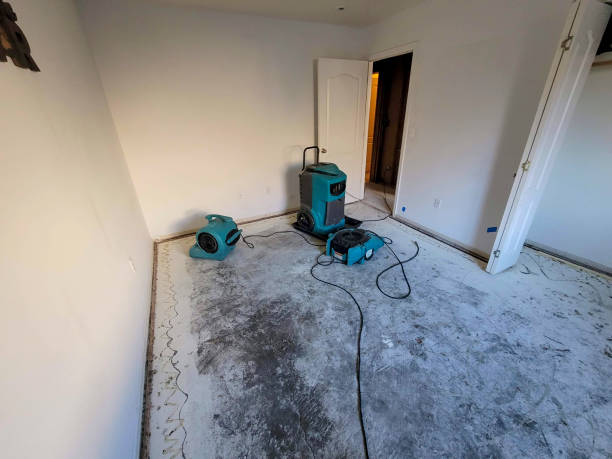 Best Water damage restoration cost  in Tuolumne City, CA