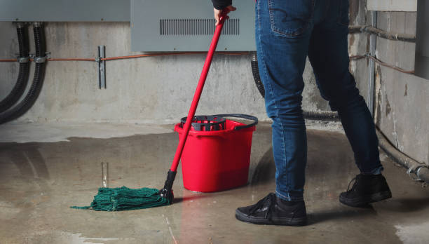 Best Flooded house restoration  in Tuolumne City, CA