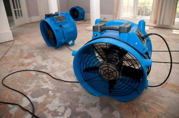 Water damage restoration experts in Tuolumne City, CA