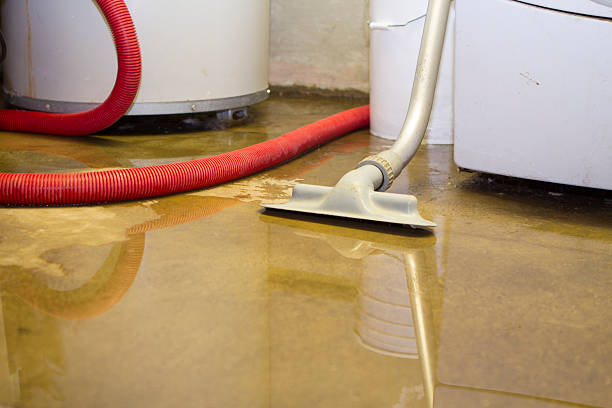Best Fire Damage Restoration  in Tuolumne City, CA