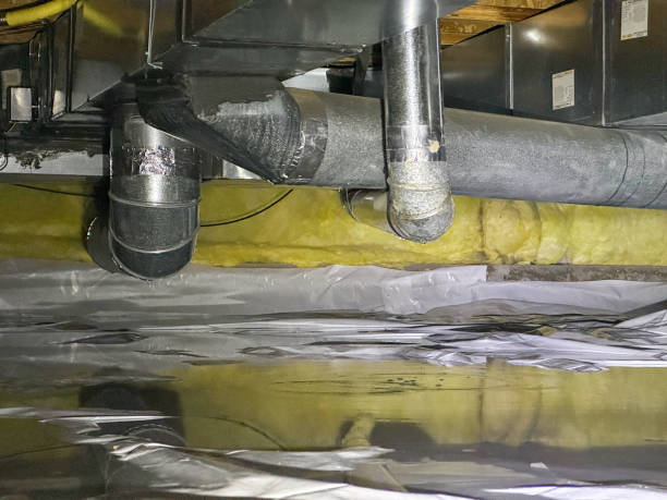 Best Water damage contractors near me  in Tuolumne City, CA
