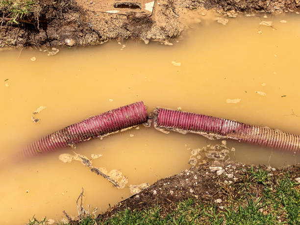 Local water damage restoration in Tuolumne City, CA